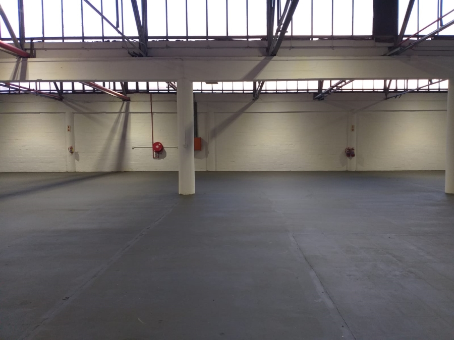 To Let Commercial Property for Rent in Paarden Eiland Western Cape